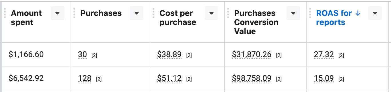 Meta ads results for a pet brand after a full audit, showing 27x and 15x return on ad spend